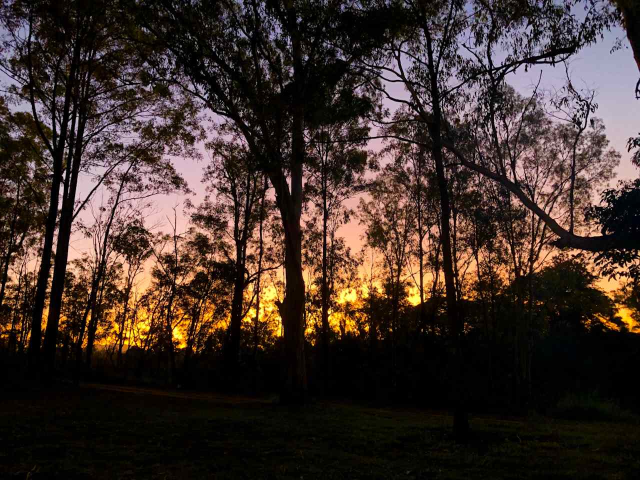 Yabba Creek Farm