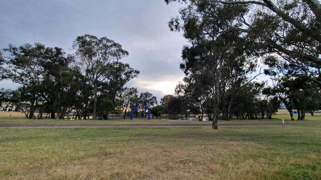 Sites around the wetland/dam.