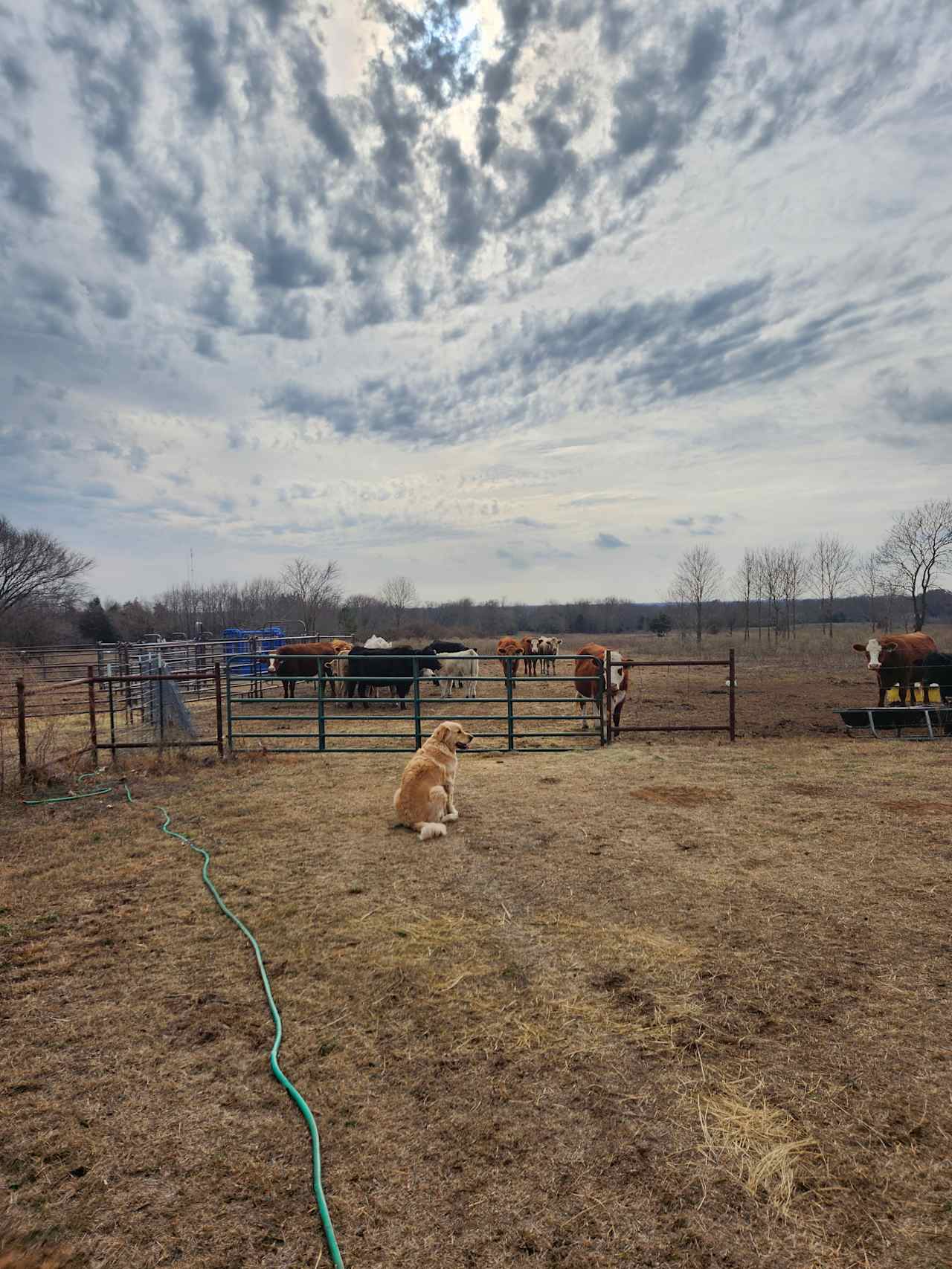 Bee Happy Farm