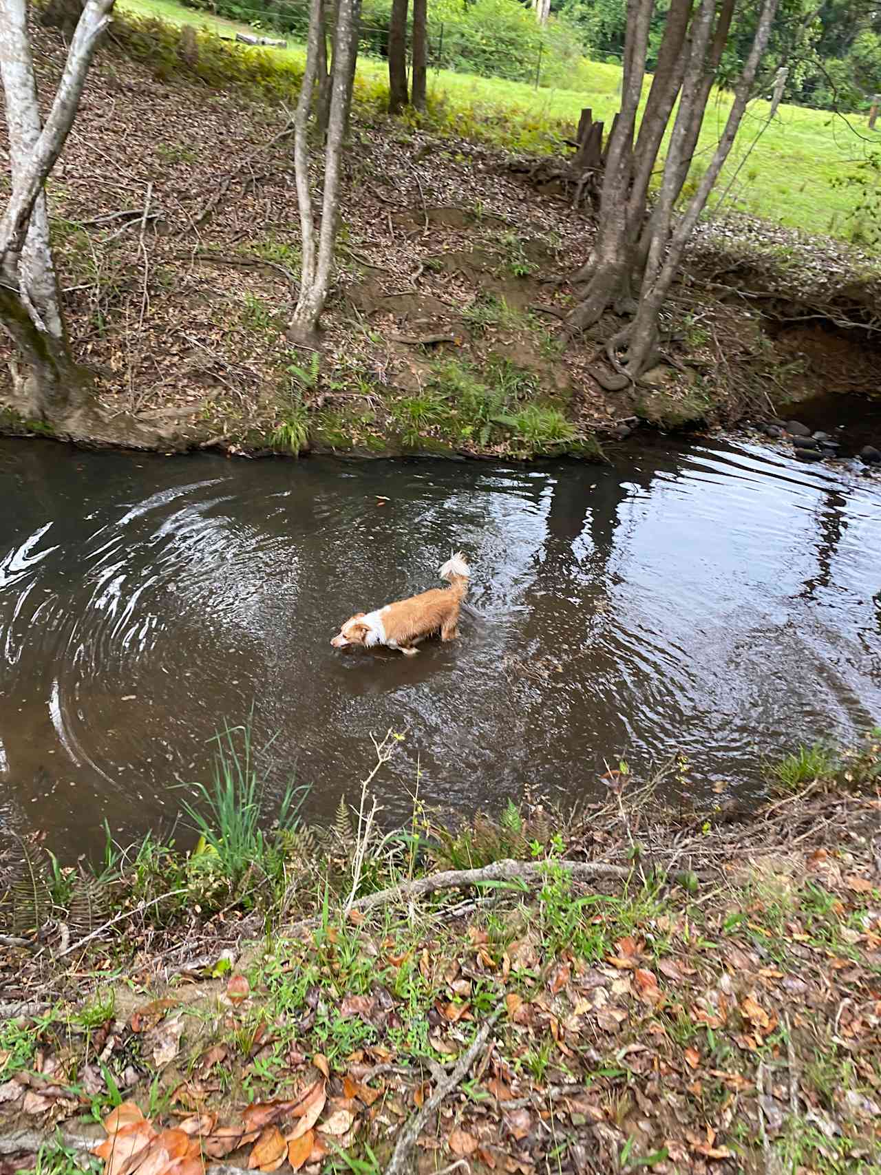 Stanlyn Park