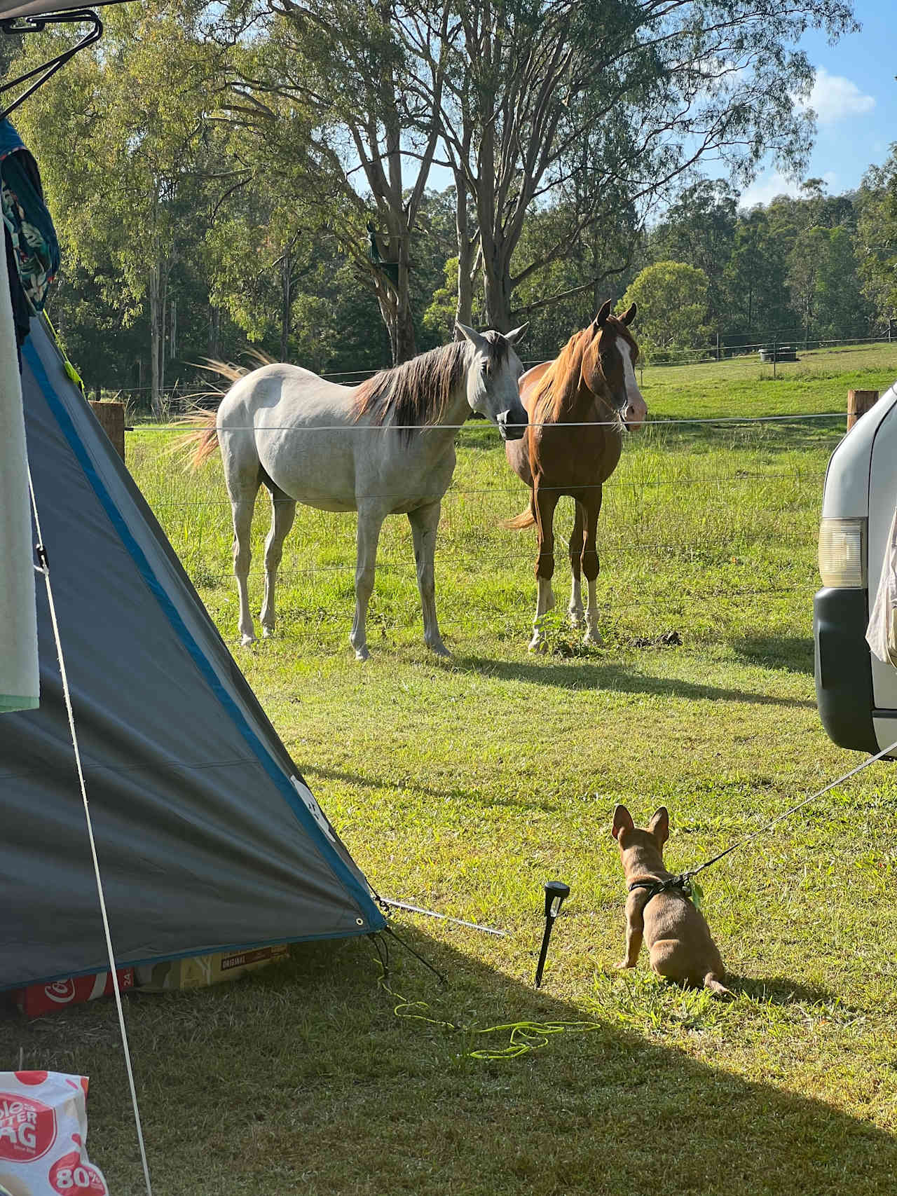 Yabba Creek Farm