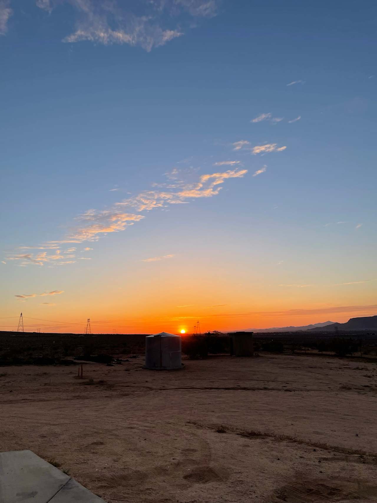 Desert Bliss