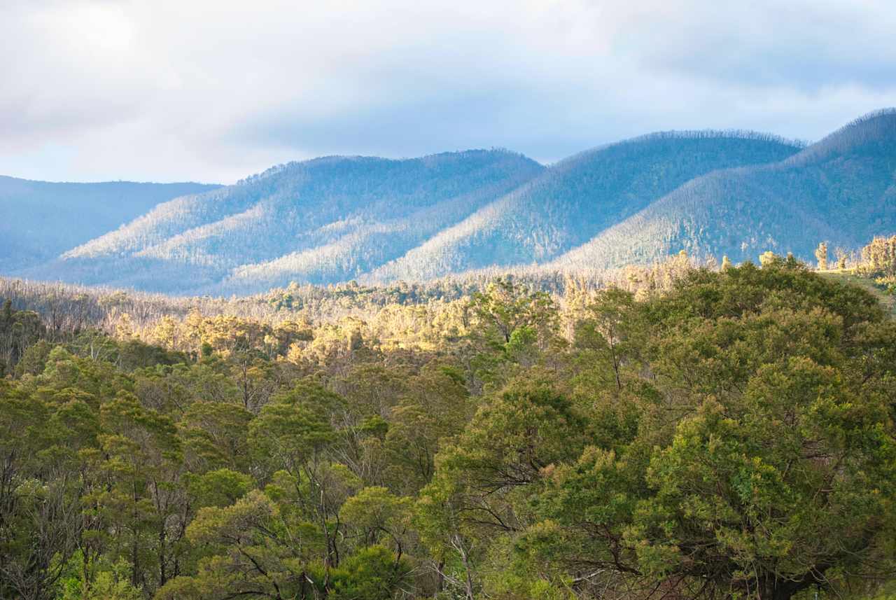 Misty Mountain Wildlife Refuge