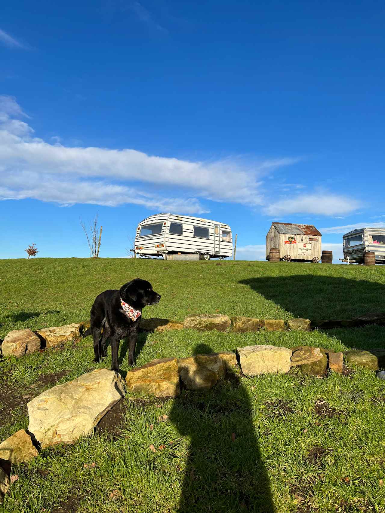 Bickley Rigg Farm Glamping Wagons