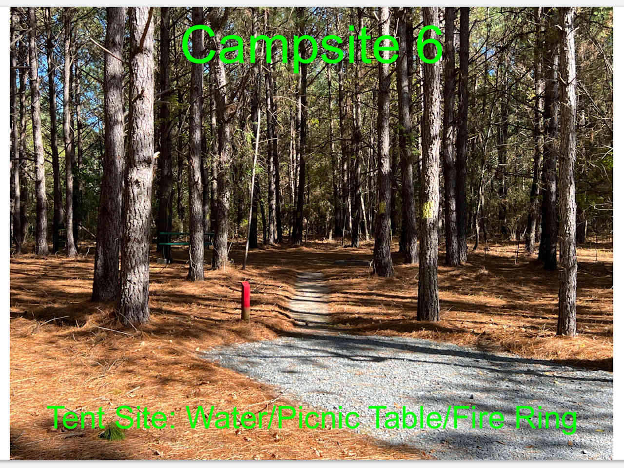 Cedar Creek Campground at Elease