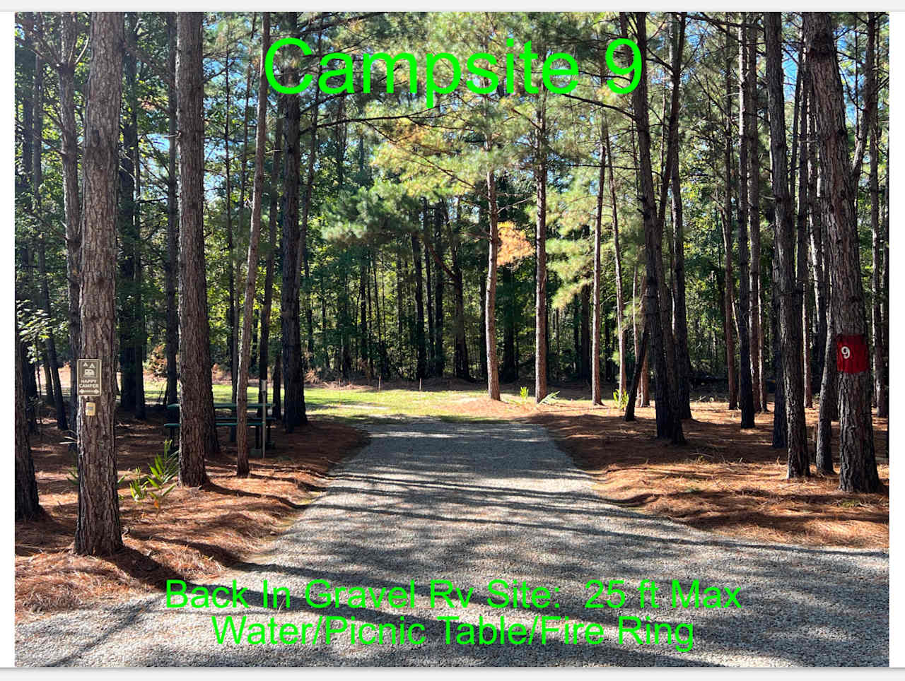 Cedar Creek Campground at Elease