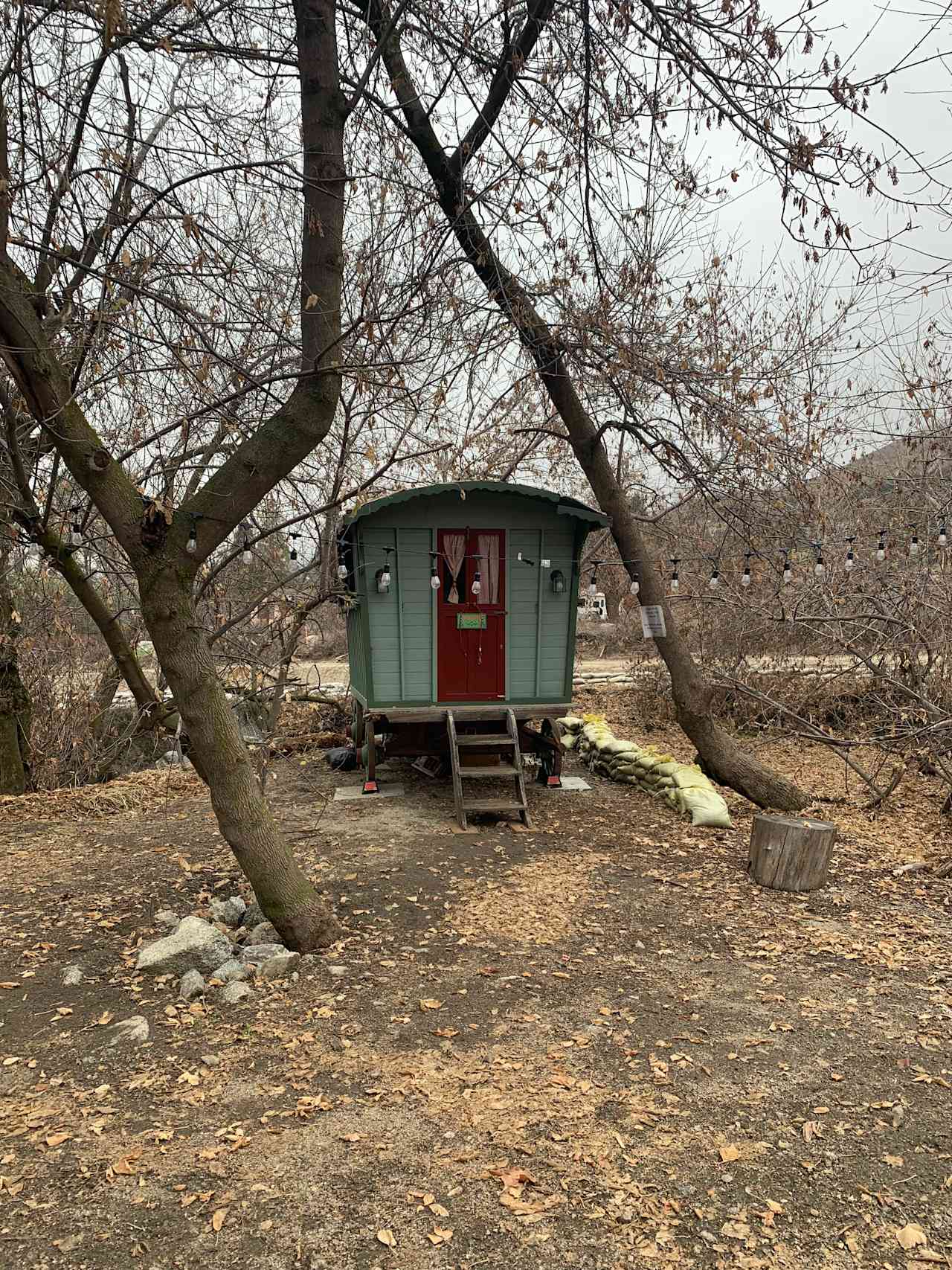 Oak Glen Glamping on Apple Orchard