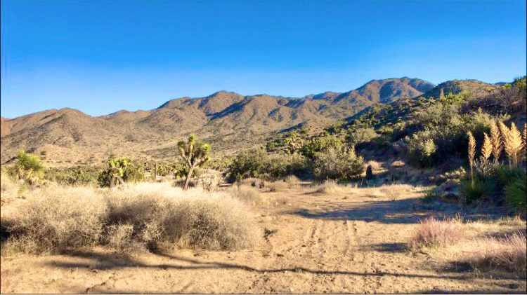 Tipi Canyon, Joshua Tree Nat’l Park