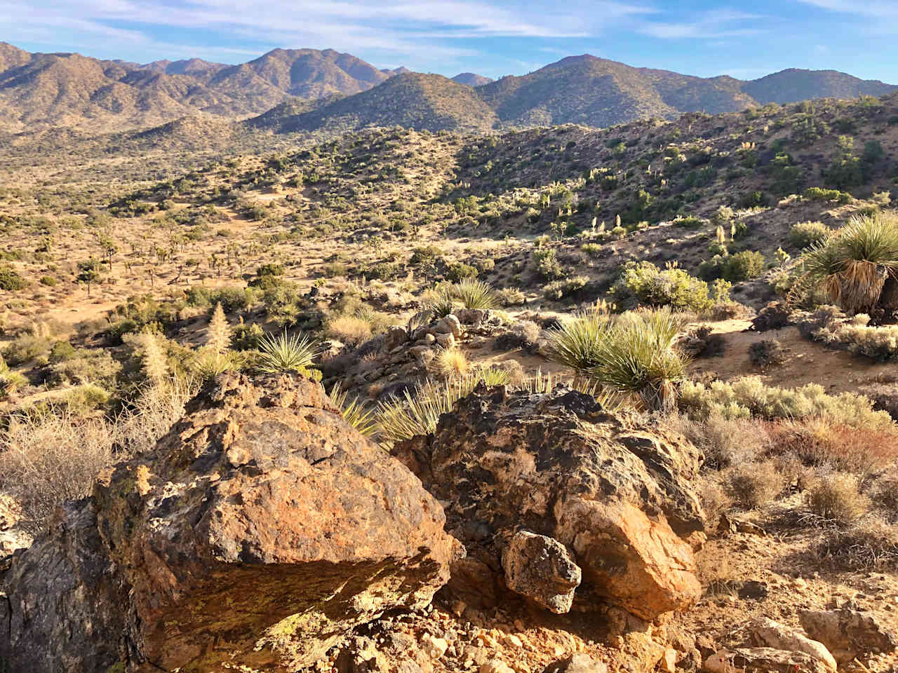 Tipi Canyon, Joshua Tree Nat’l Park