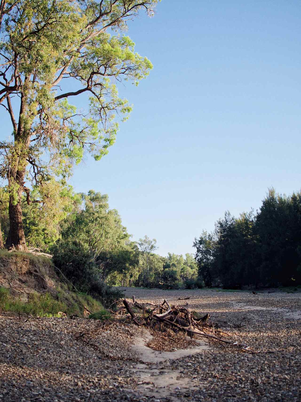 Bushland Hideaway on the River