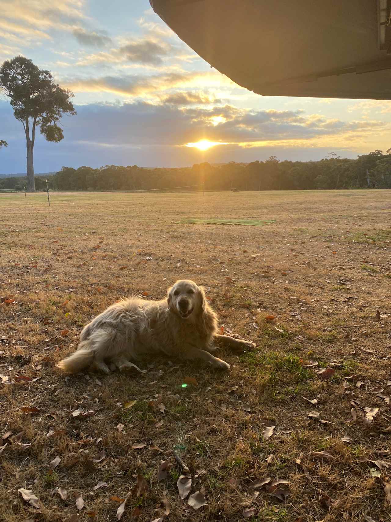 Sunset on the Hill