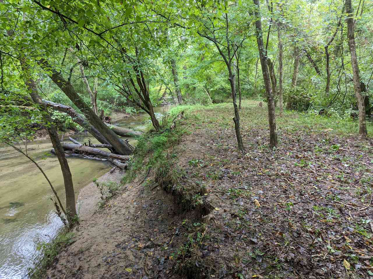 Quail Run at Pate's Creek