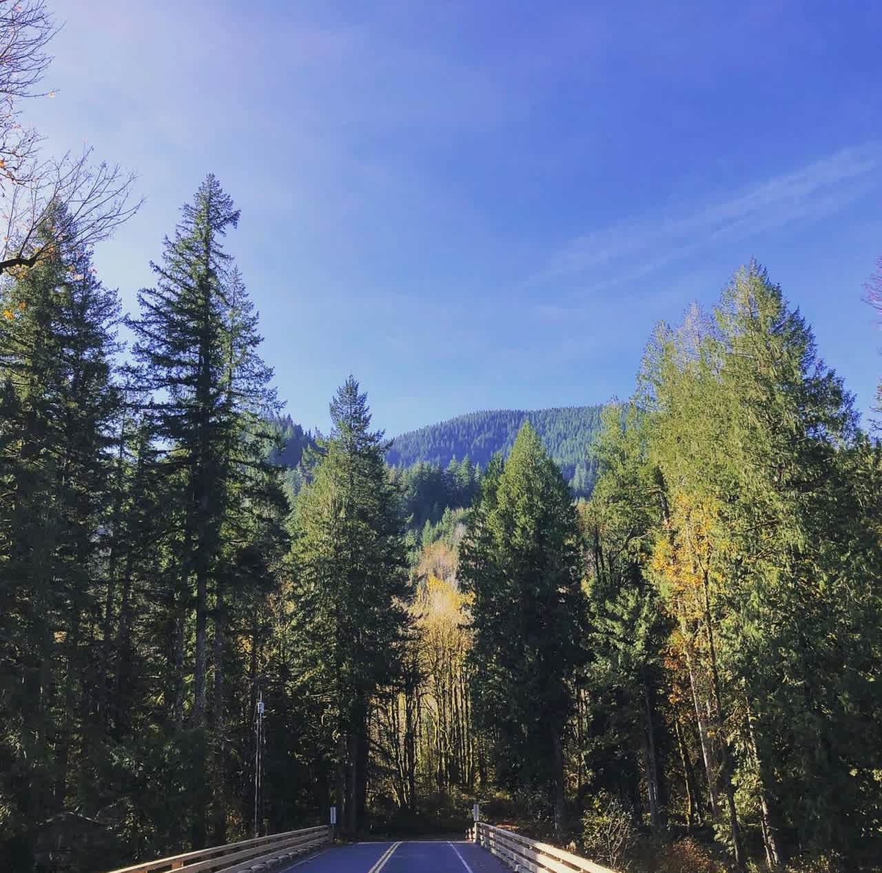 Mt Hood Camp Spot