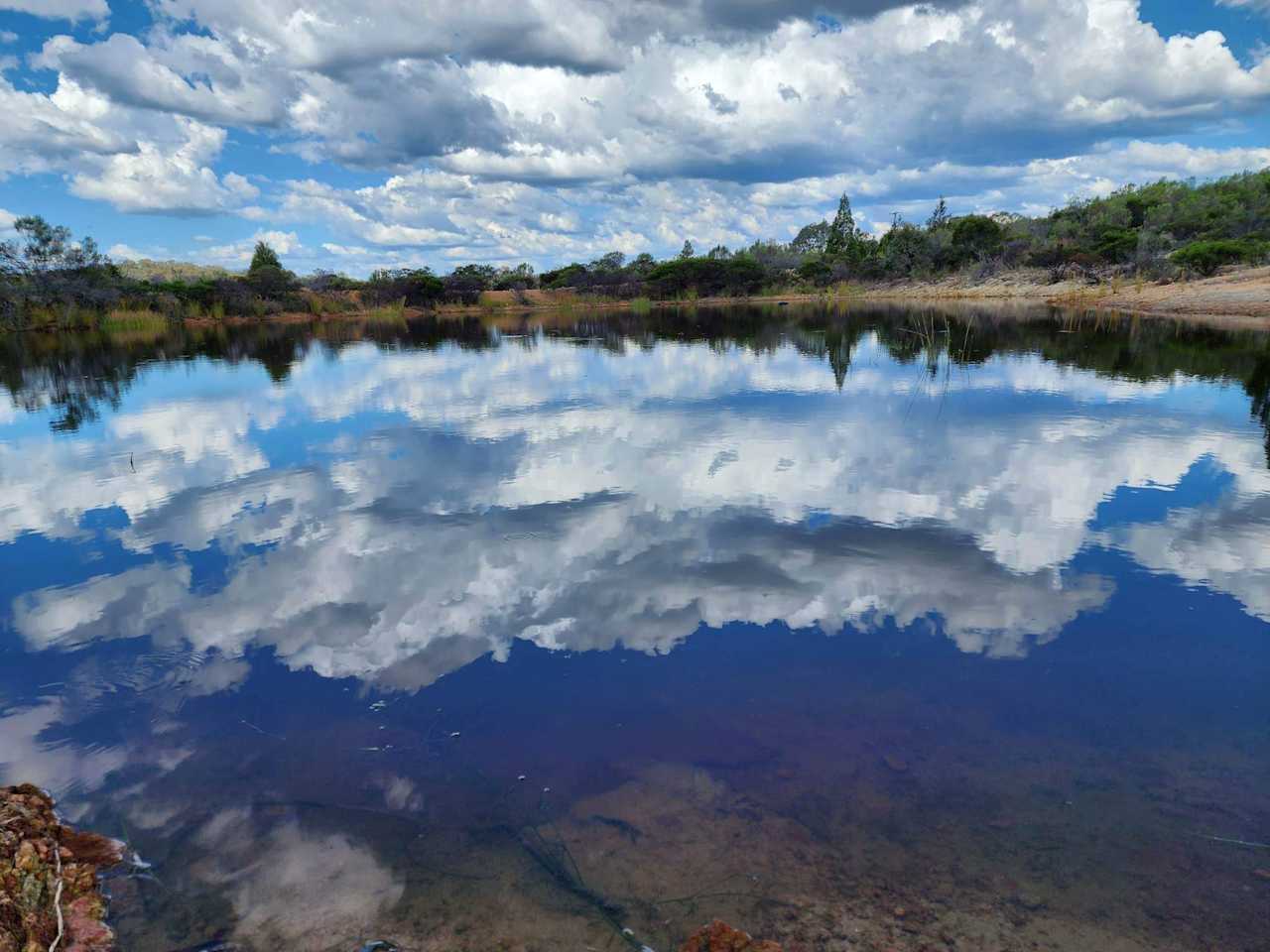 Great dam for fishing