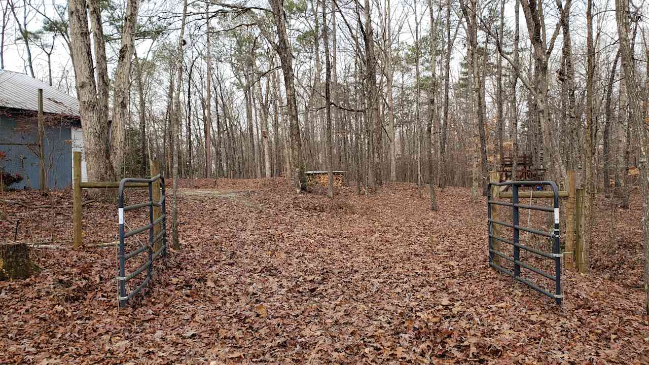 Entrance up the gravel driveway to our gravel pad