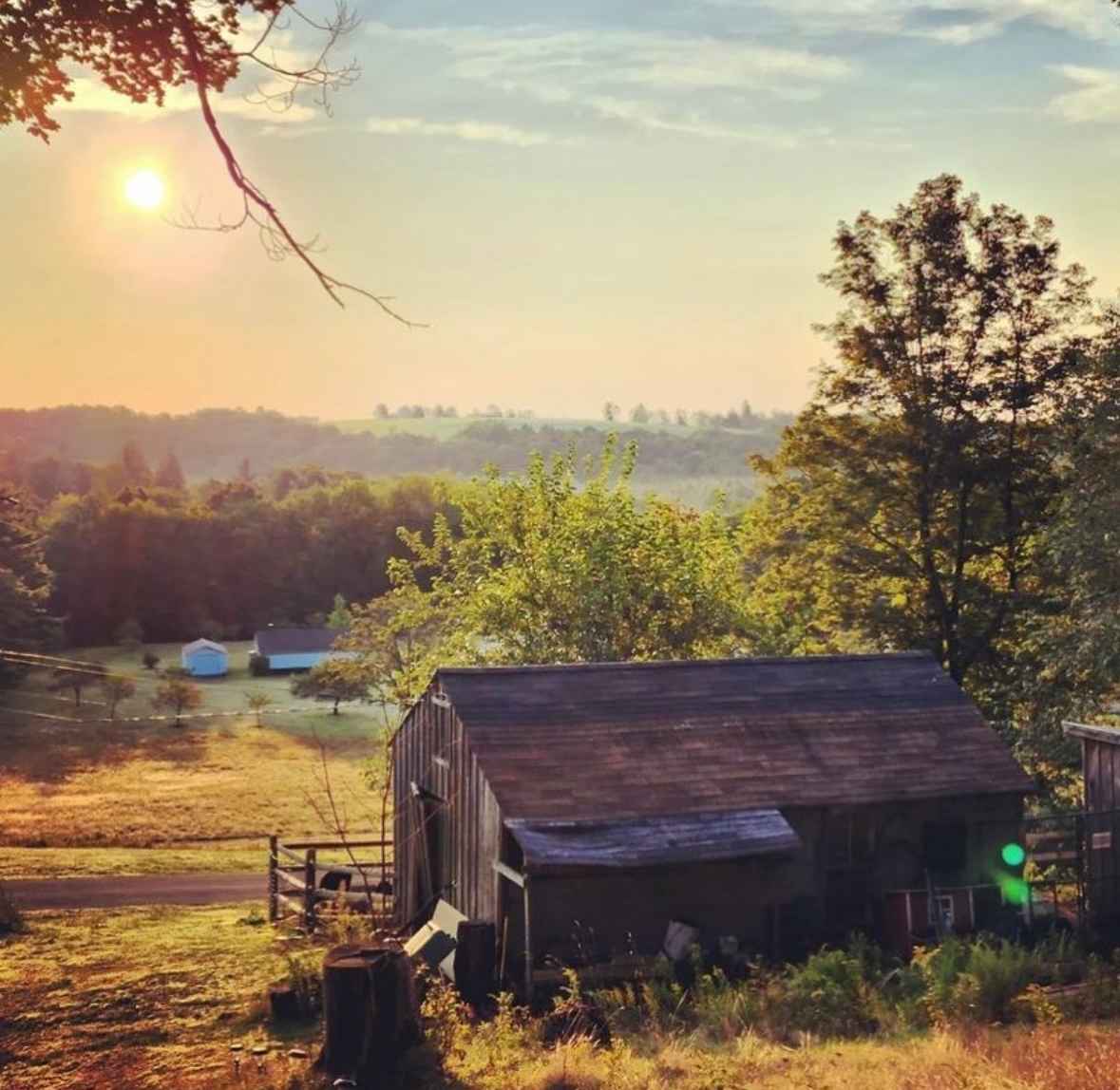 Fisk Brook Farm