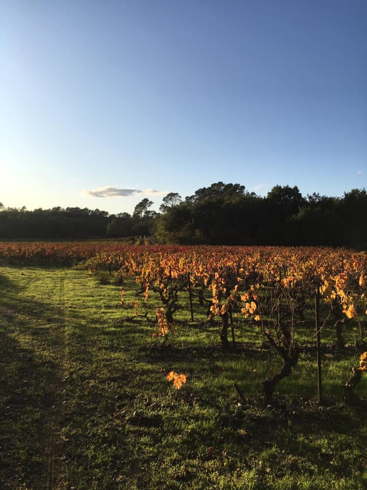 Domaine de Blanquefort