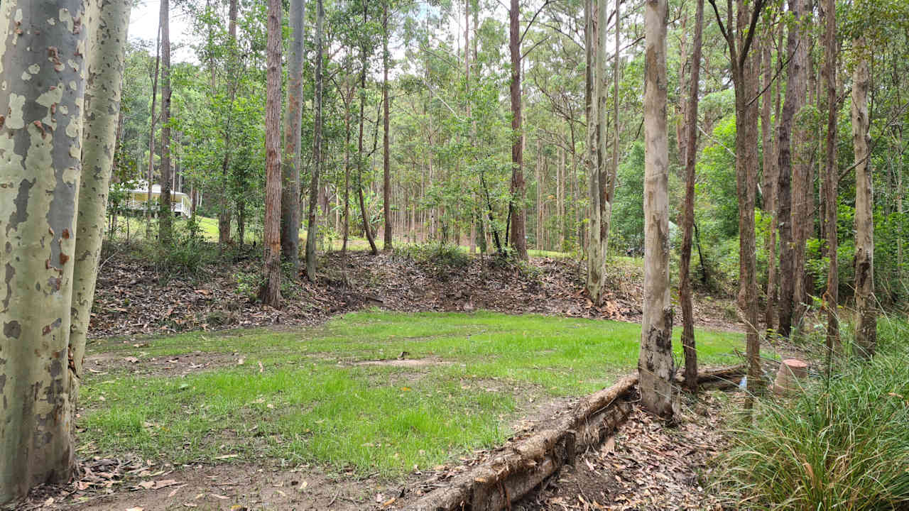 Fern Gully
