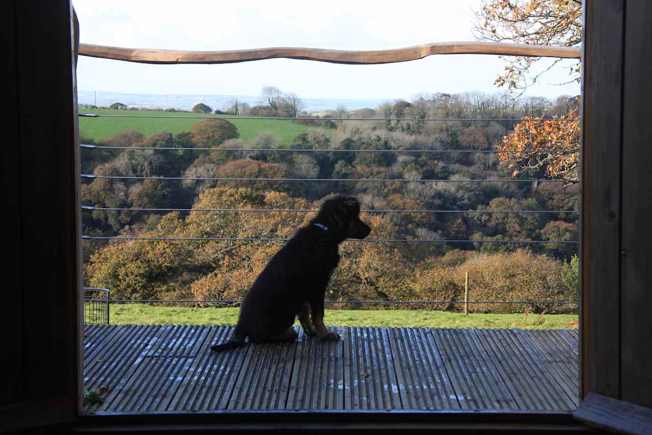 Cornish Yurt Holidays