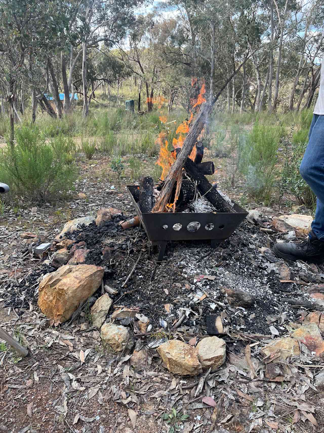 Stringybark