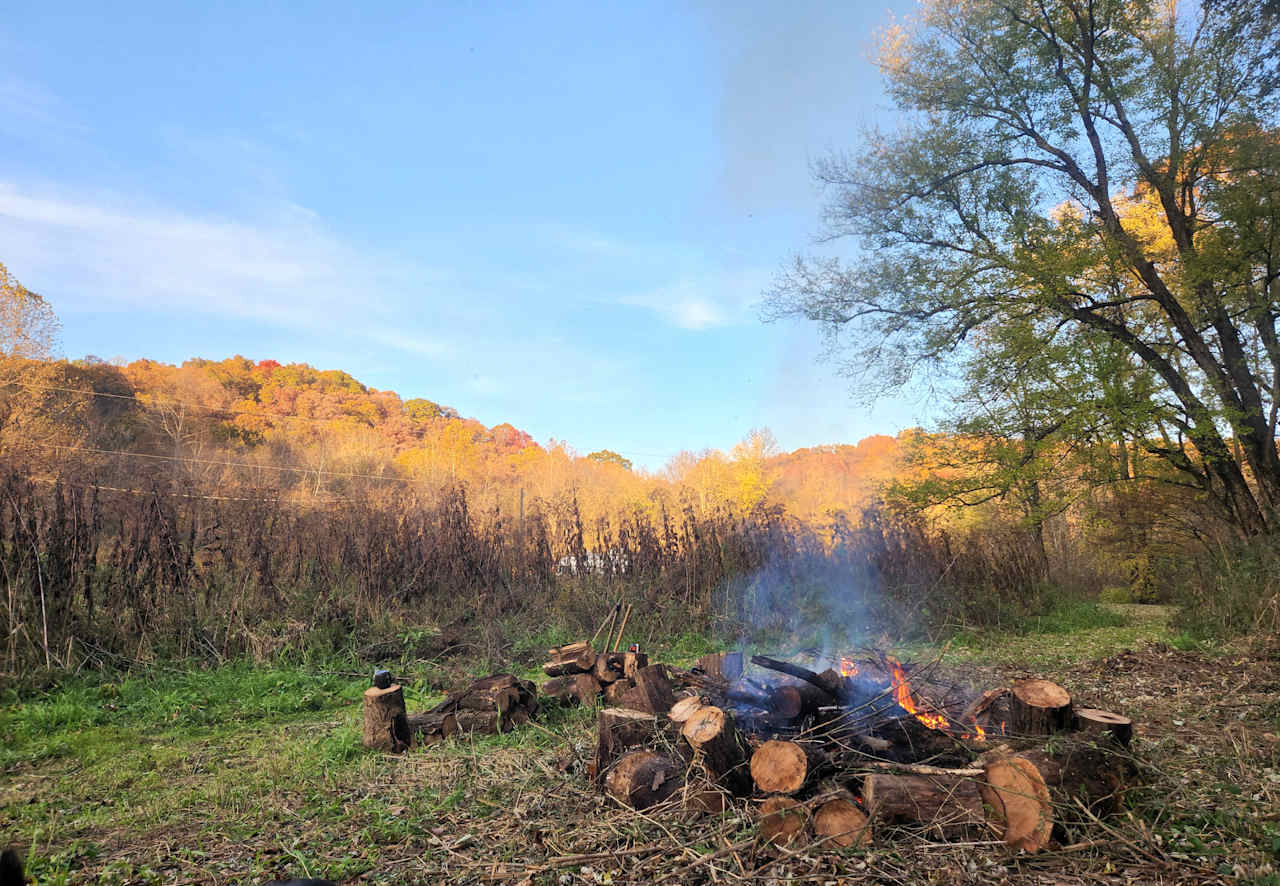 View of Zalesky State Forest from camp.