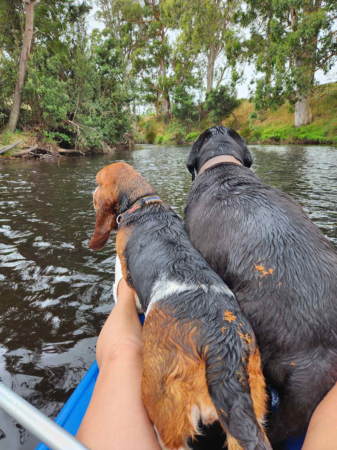 Blythe River Campground