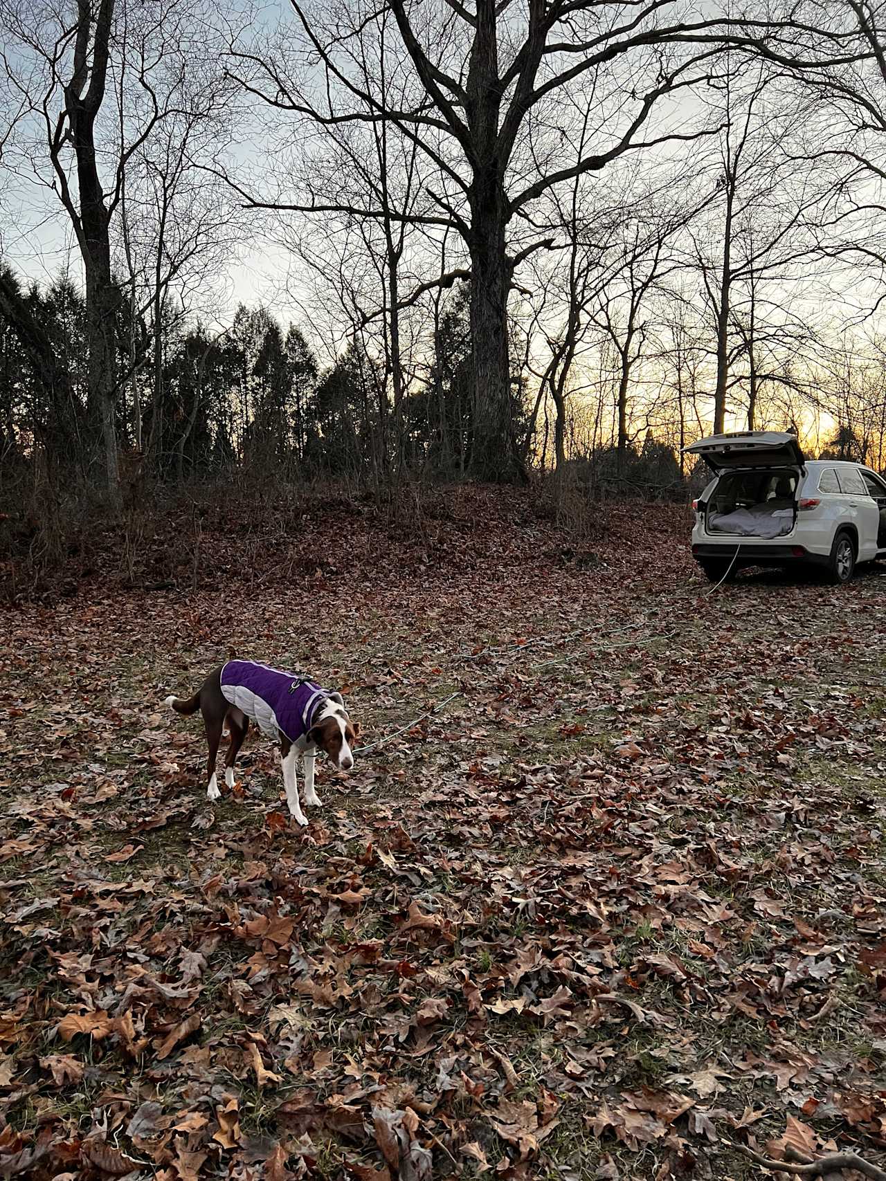 Fairhaven Farm Campground