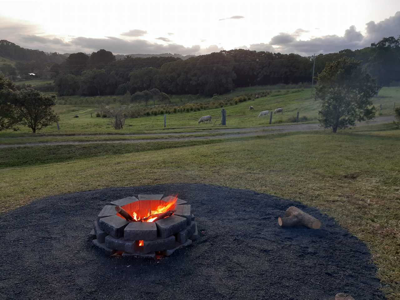 Fire pit for cooking.