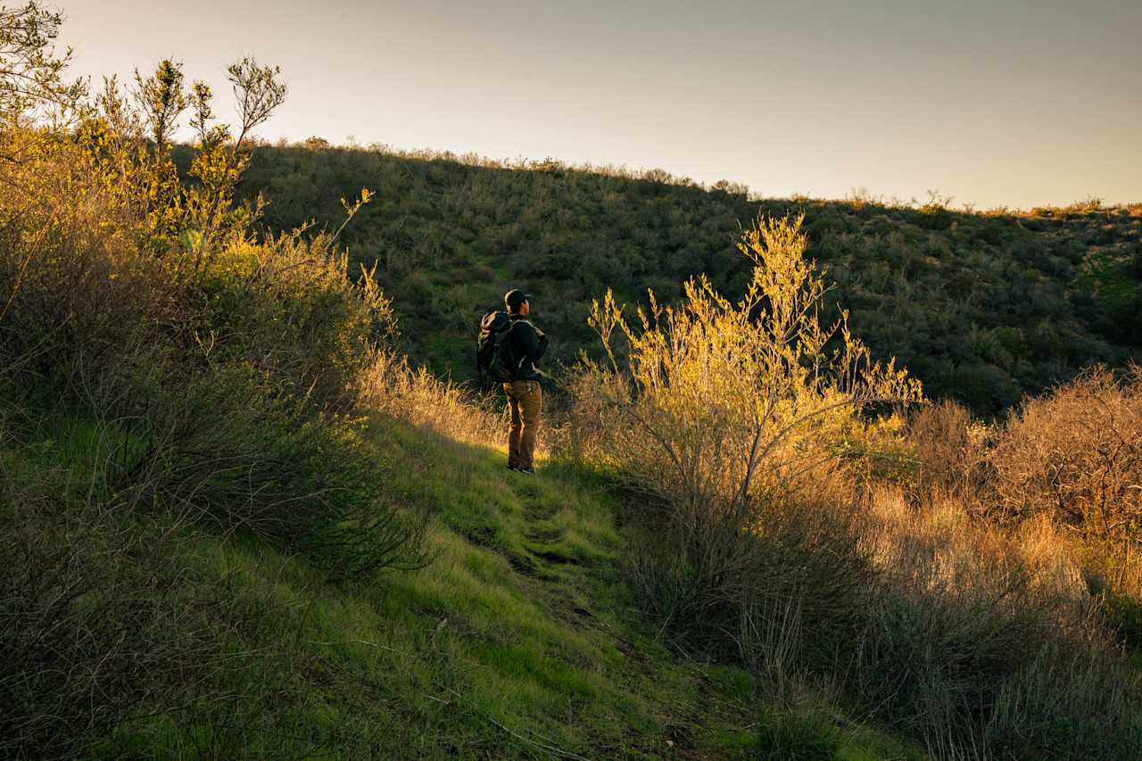 Lots of land to hike !