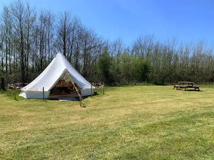 Thornbush Glamping Eucalyptus