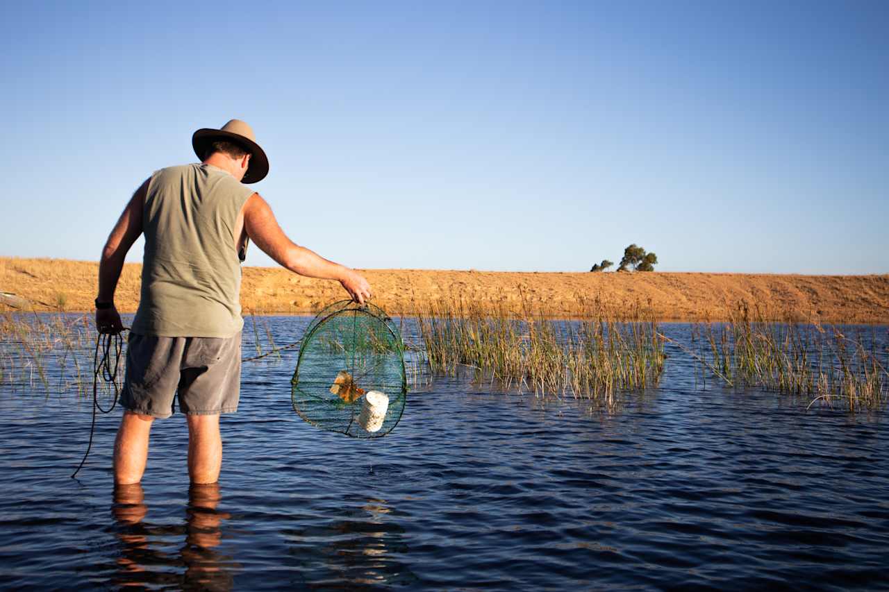 supplied nets and bait