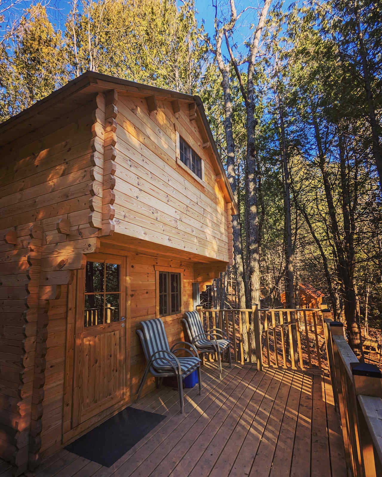 Pine River Bunkies