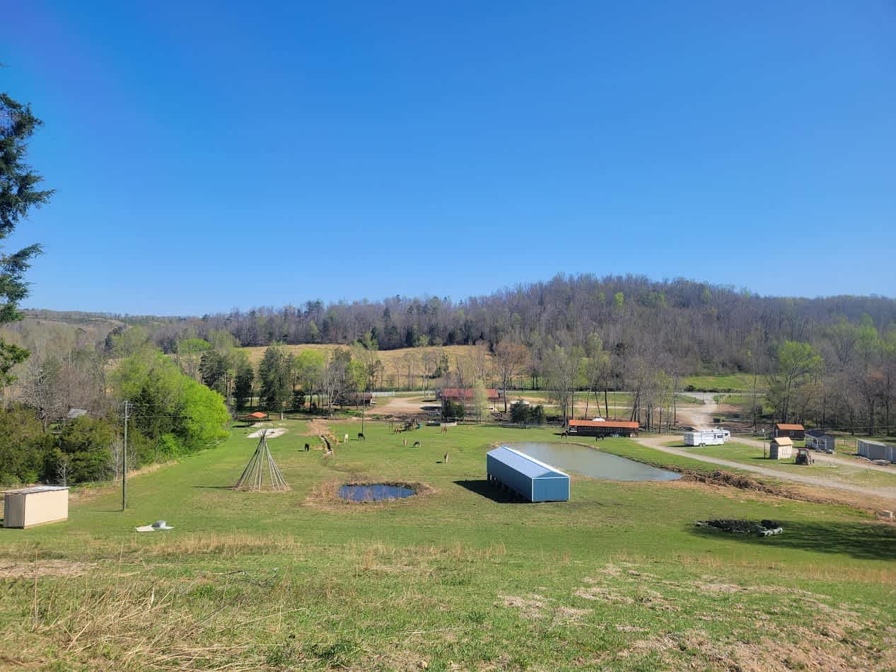 A view from above in the Spring season