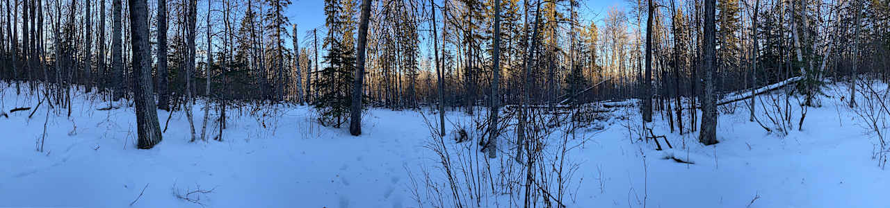 SPRUCE RIDGE AT HEATHER DOWNS