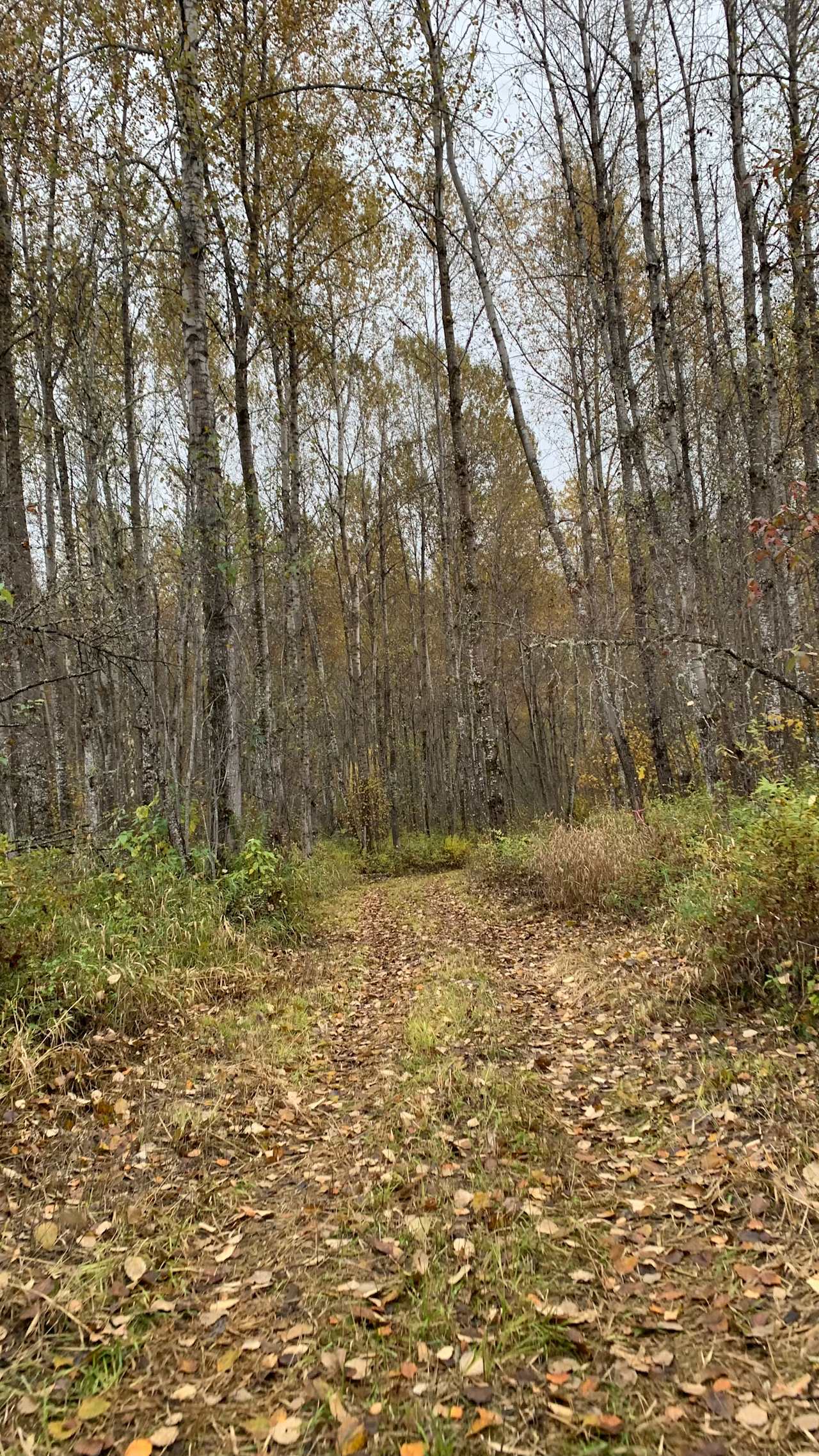 Mable Lake Heritage Farm