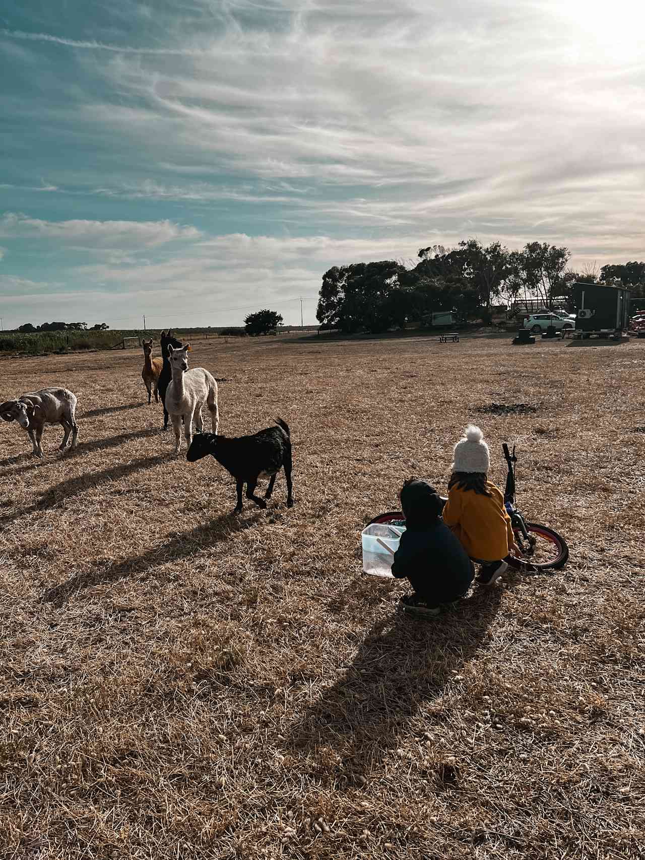 Coorong Island Retreat