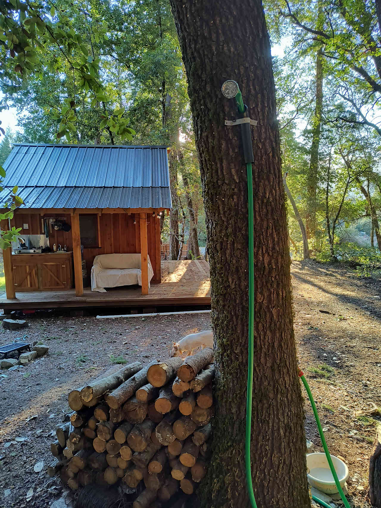 Bigfoot Little Cabin