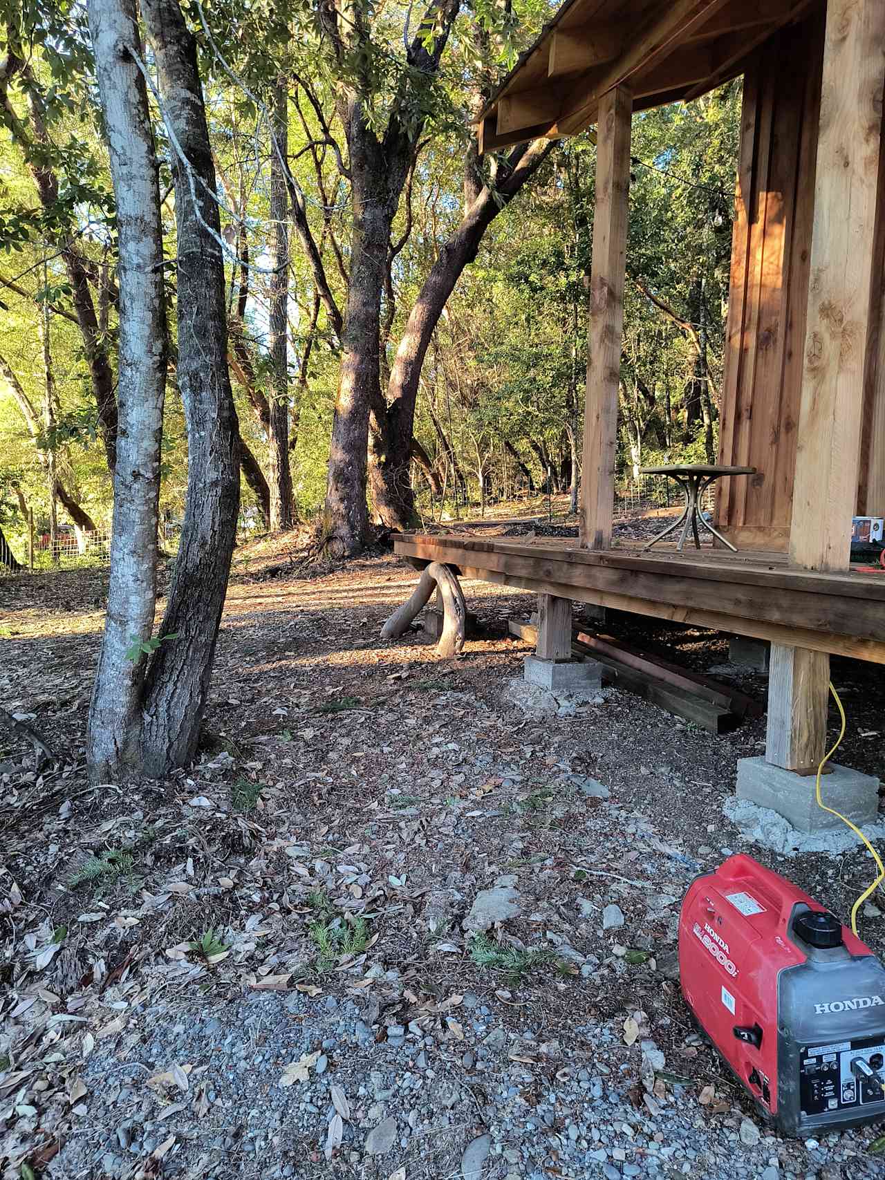 Bigfoot Little Cabin