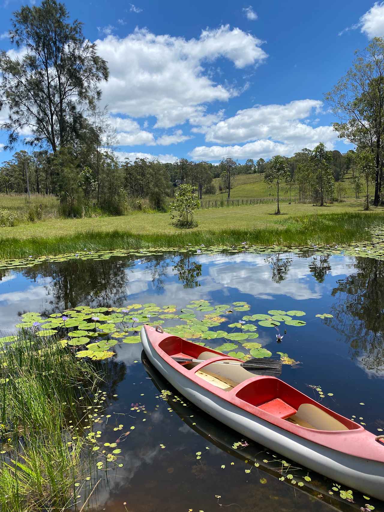 Lily Dam view