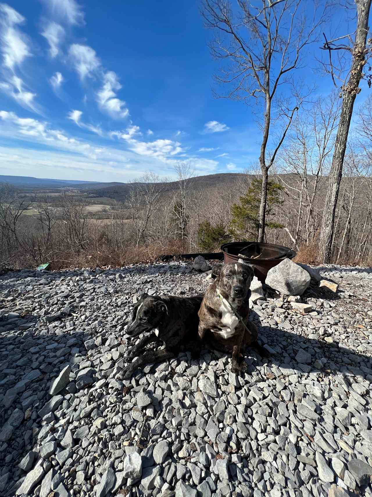 Elk Head Overlook