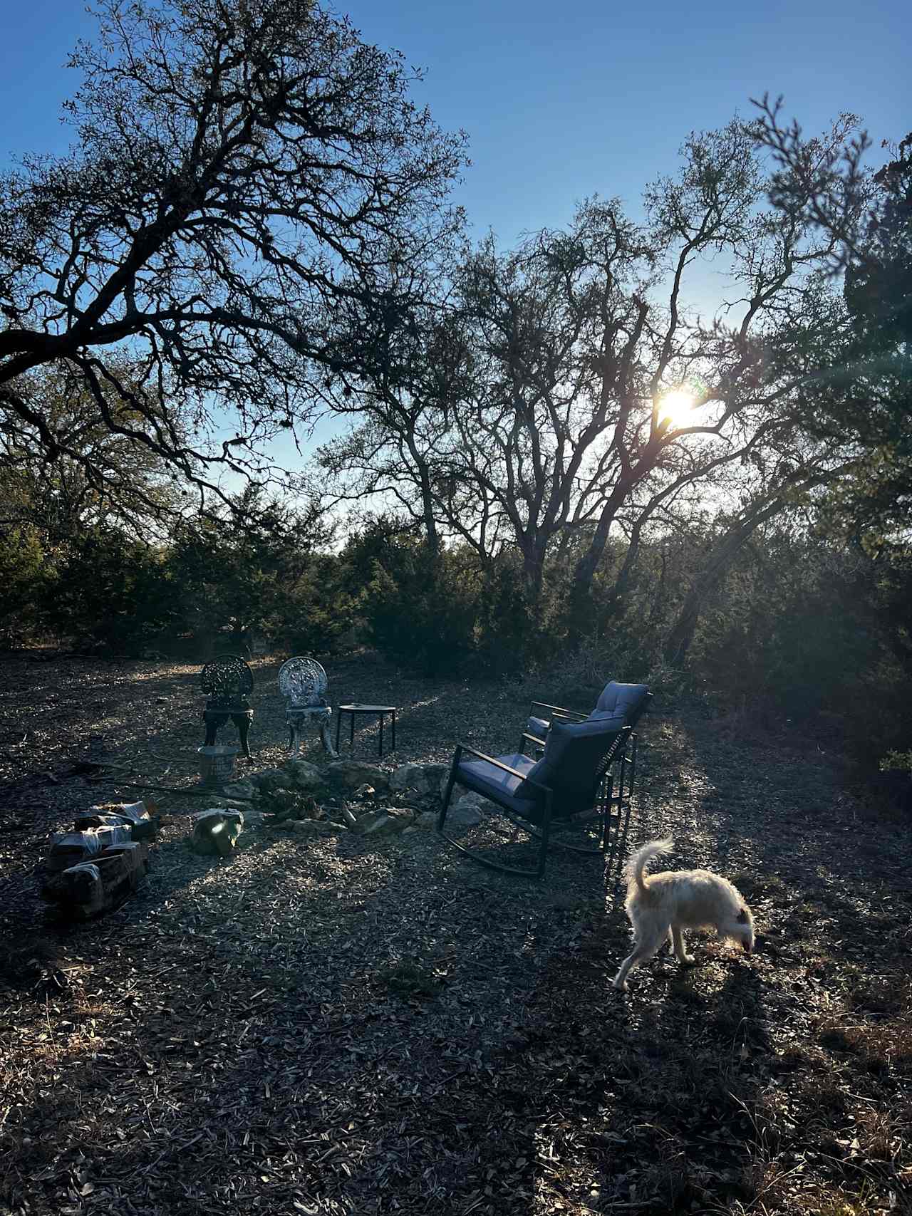 Hill Country Nature Retreat