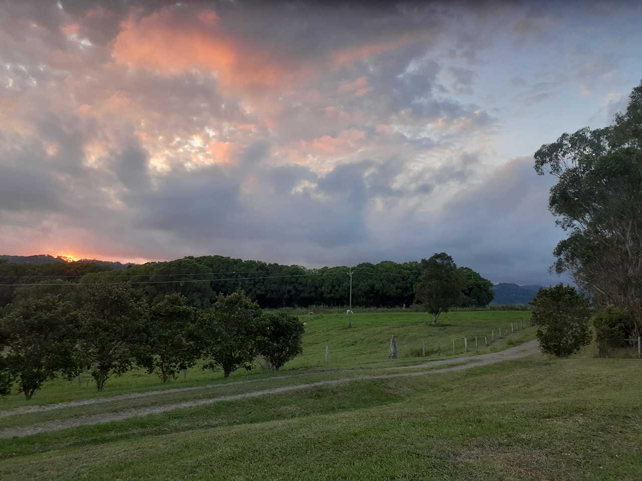 Byron Myocum Farm