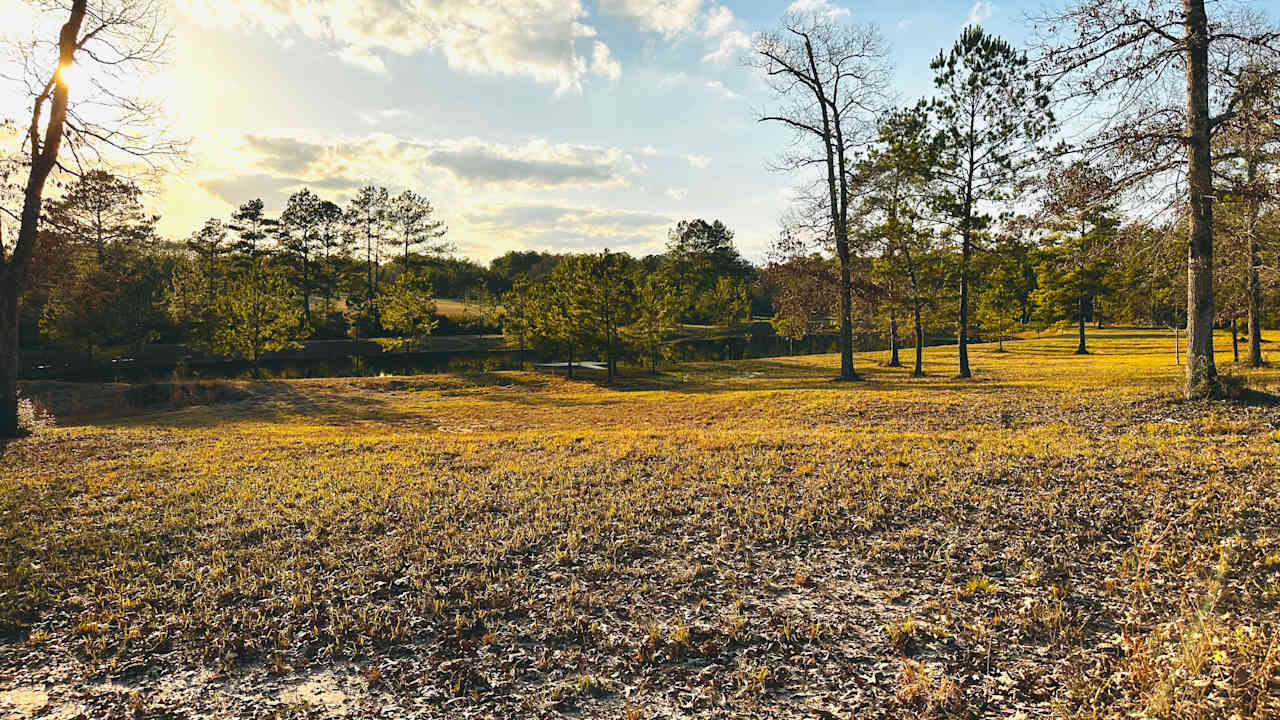 Site #4 - Boondocking RV site view