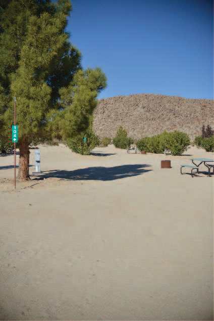 Joshua Tree Lake RV & Campground