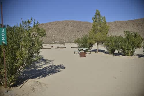 Joshua Tree Lake RV & Campground