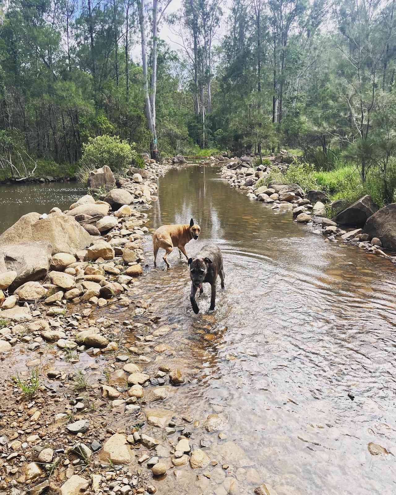 Emu Creek Retreat