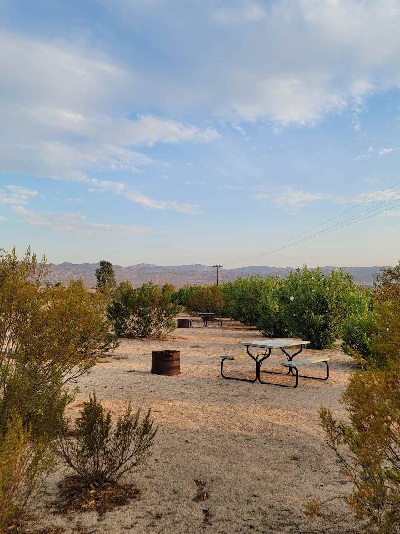 Joshua Tree Lake RV & Campground