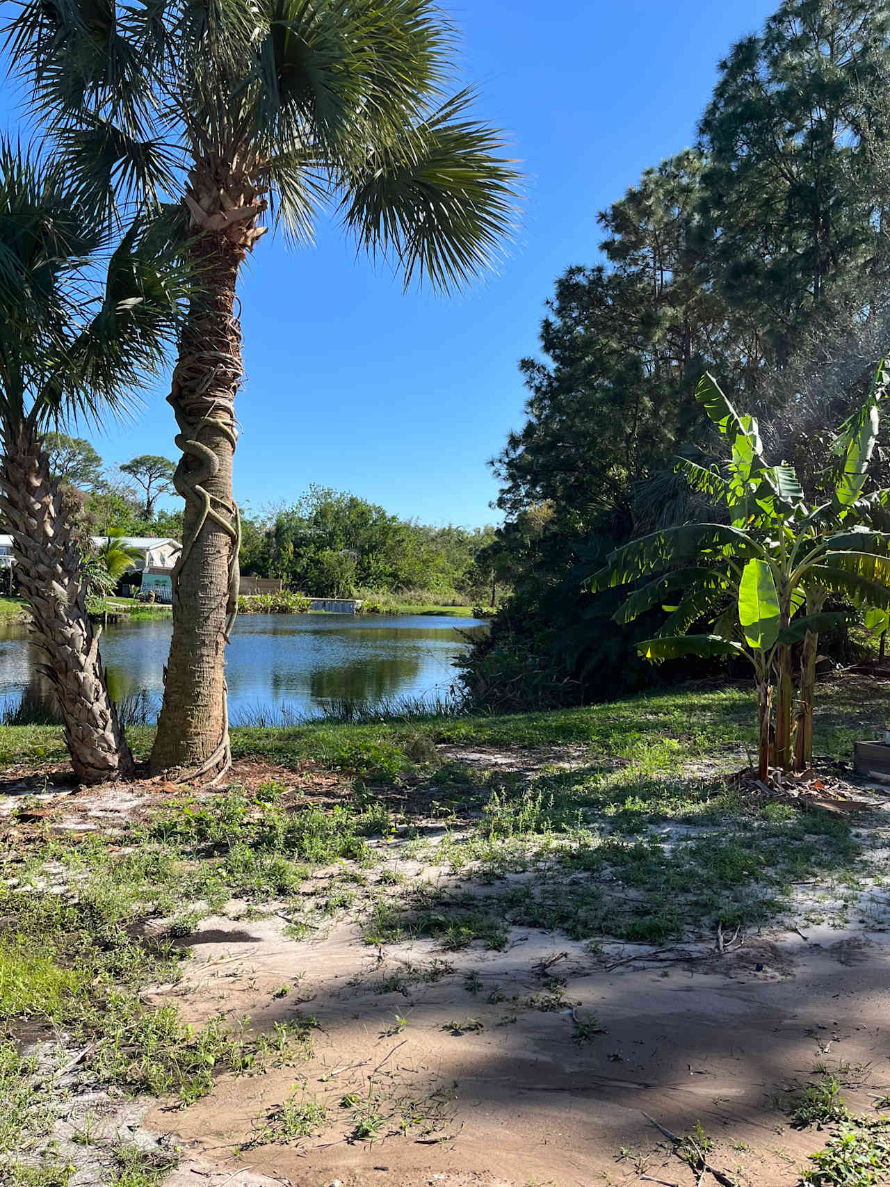 Retention Pond on the other side of the Lake