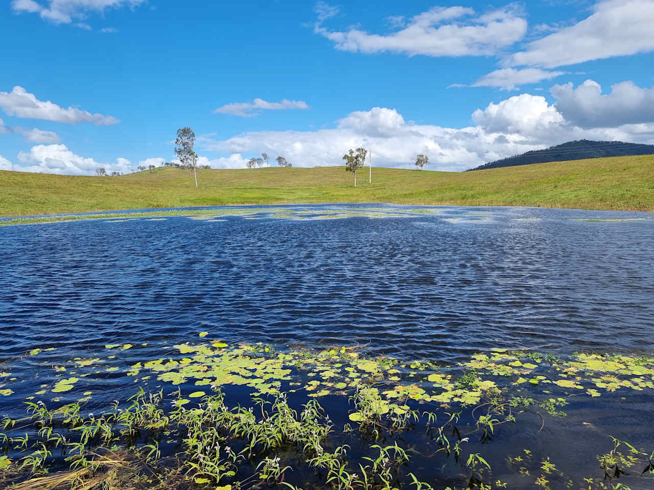 Brooyar Eco Lodge and Caravan Park