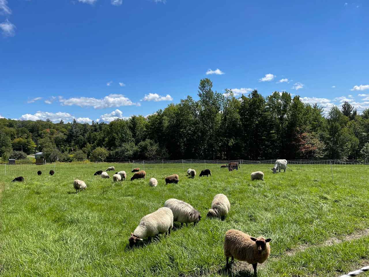 Fern River Farm